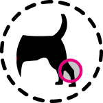 VetMate